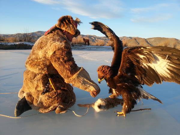 Mongolia Tour Hunting With Eagles Helping Dreamers Do