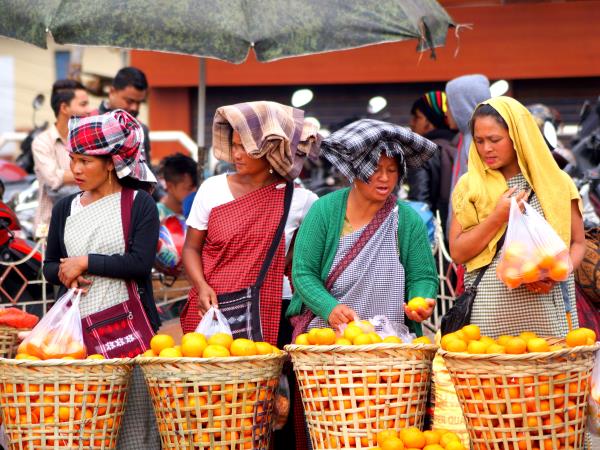 Cultural and rural tour of North East India