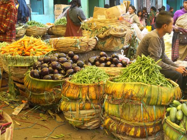 Cultural and rural tour of North East India