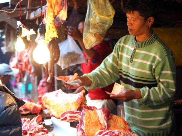 Cultural and rural tour of North East India
