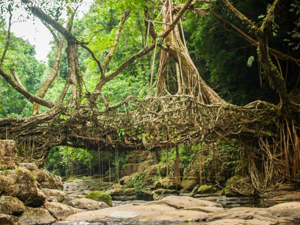 Cultural and rural tour of North East India