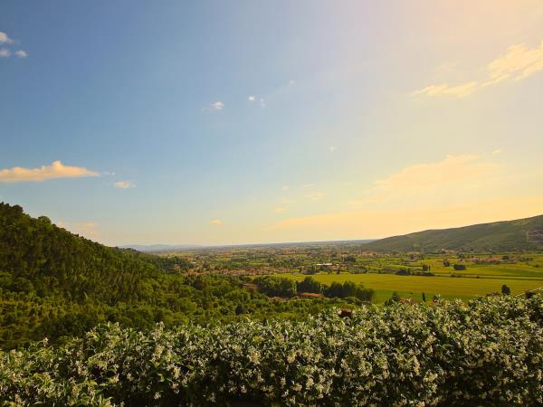 Tuscany farmhouse accommodation, Italy