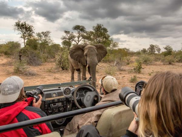 Wildlife photography and volunteering in South Africa