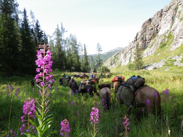 Mongolia horse riding holiday, Altai Taster