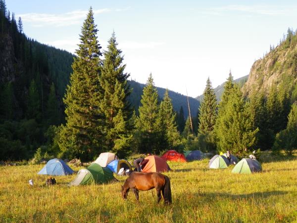 Mongolia horse riding holiday, Altai Taster