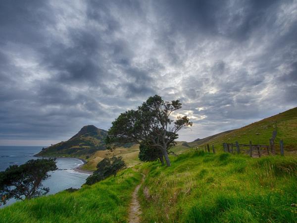 New Zealand tour, private departure