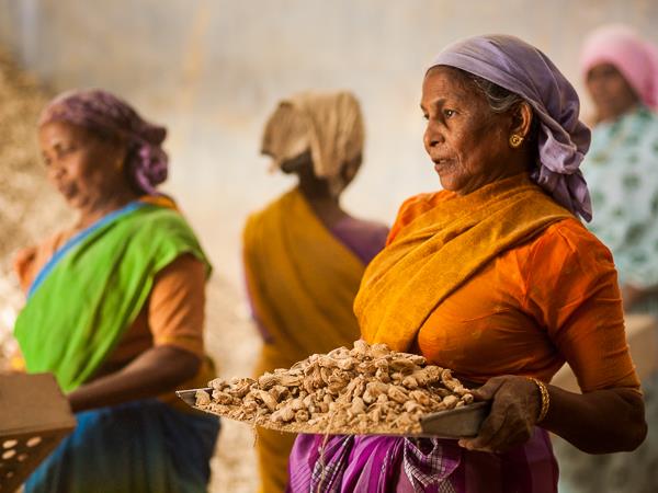 Photography holiday in Southern India