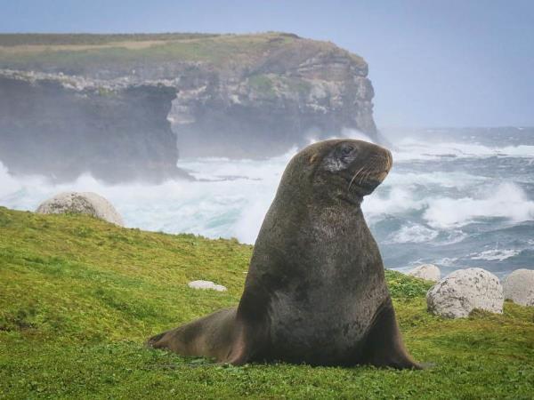 Ross Sea & Antarctic Circle voyage