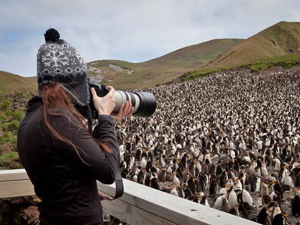 Ross Sea & Antarctic Circle voyage