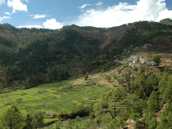 Indian Himalaya tailor made tour