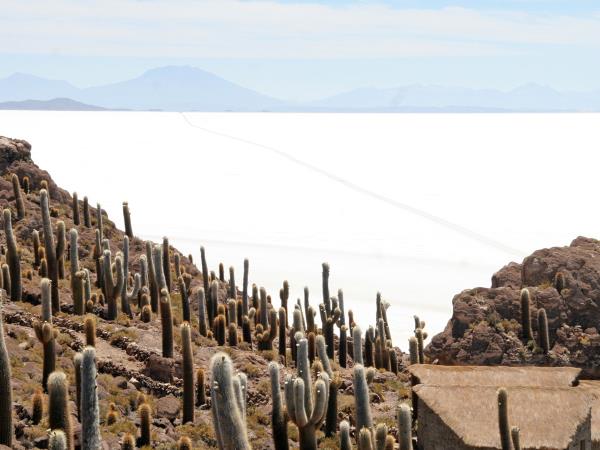 Bolivia holiday, tailor made