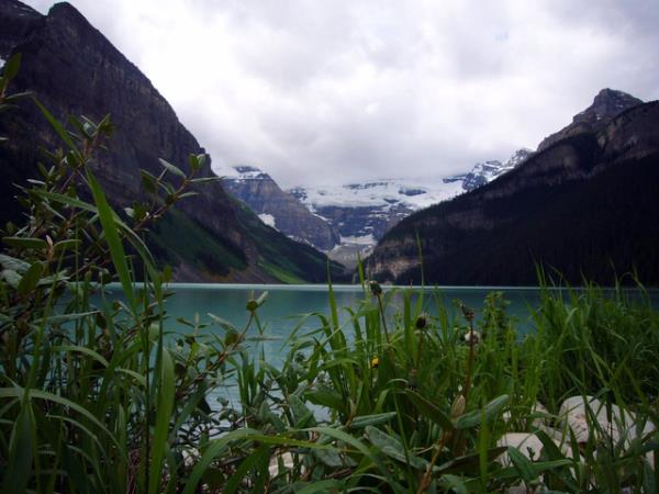 Canada holiday, national parks and wildlife