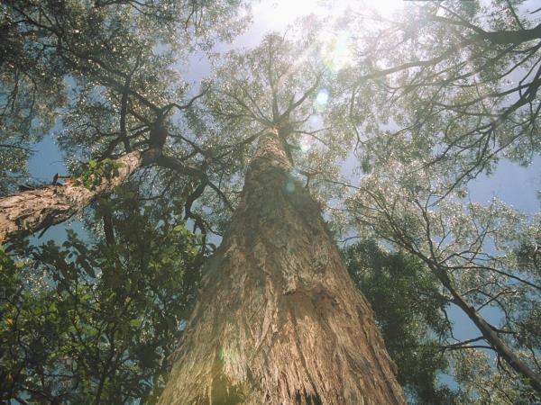 Southern Australia tour, Melbourne to Adelaide
