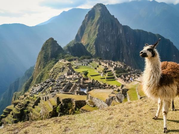 Family volunteering in Peru
