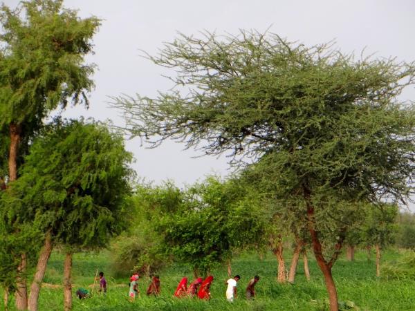 Golden triangle homestay tour in India