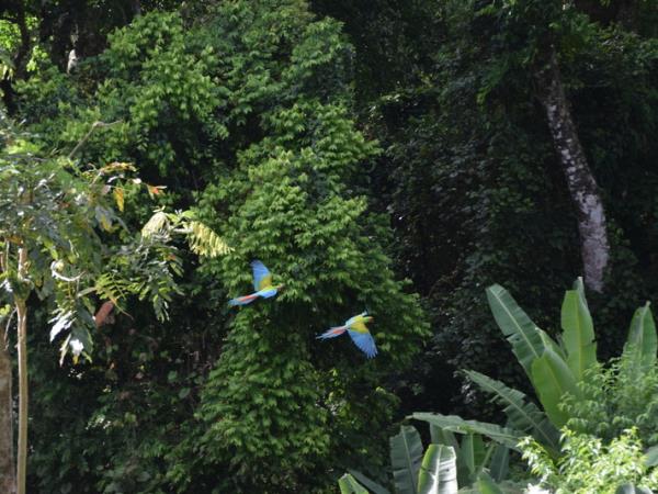 Costa Rica activity holiday, including volunteering