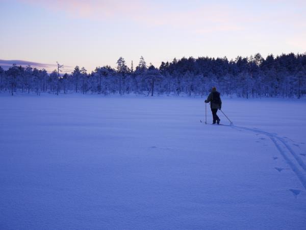 New year Northern Lights holiday, Sweden
