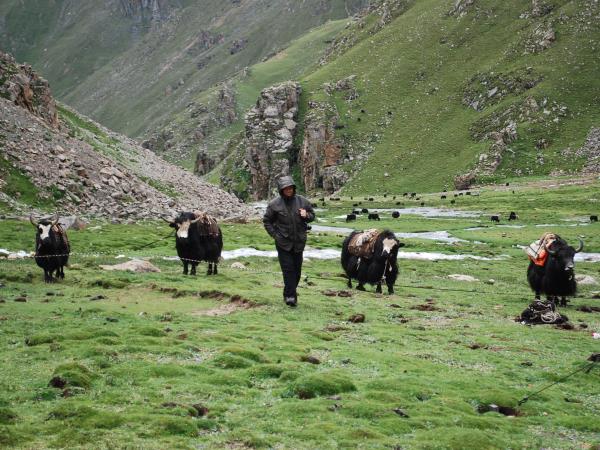 Tibet exploration tour