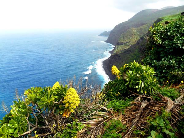 Canary Islands walking holiday, La Palma