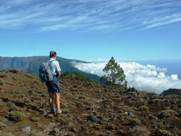 Canary Islands walking holiday, La Palma