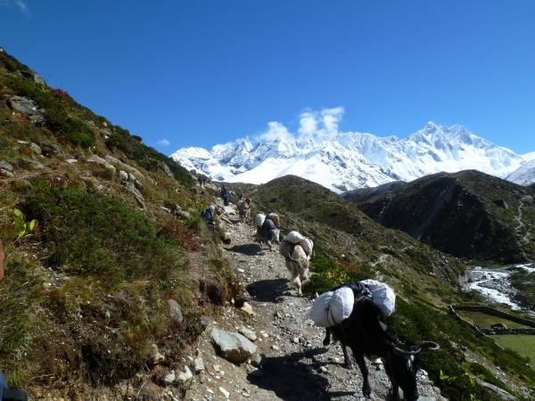 Everest Base Camp luxury trek in Nepal