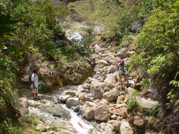 Dominica walking holidays
