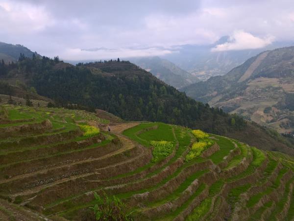 Cultural walking holiday to China