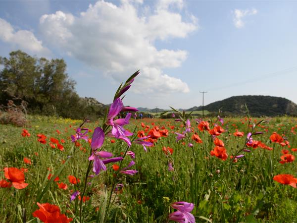Besparmak trail walking holiday Cyprus