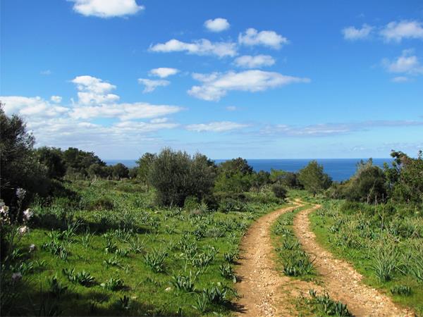 Besparmak trail walking holiday Cyprus