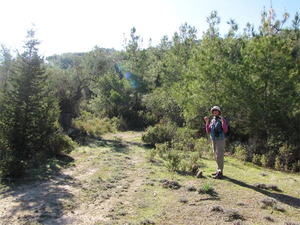 Cyprus botany holiday