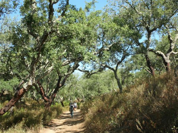 Portugal walking holiday, highlights of Rota Vicentina