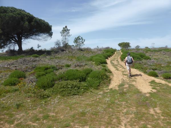 Portugal walking holiday, highlights of Rota Vicentina