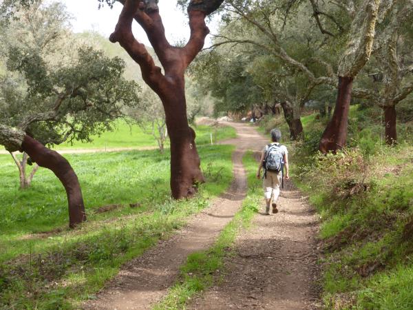 Portugal walking holiday, highlights of Rota Vicentina