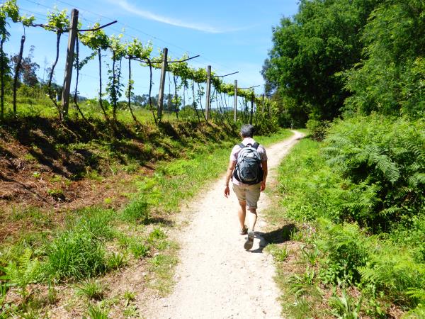 Northern Portugal self-guided walking holiday