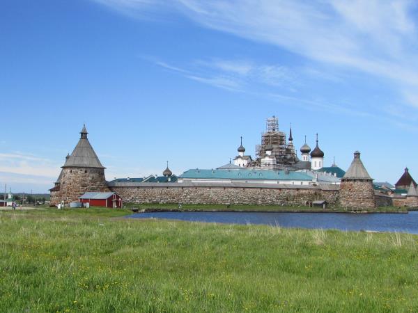 Finland wildlife holiday, whales and bears