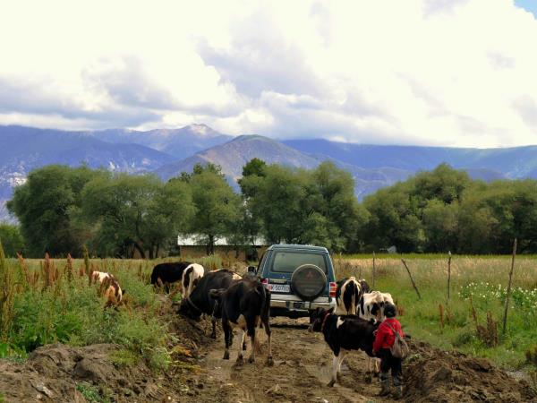 21 days Tibet 4WD in depth tour