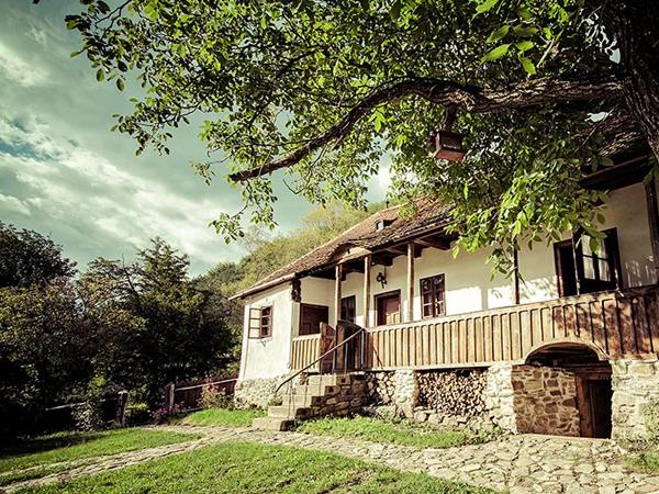 Discover Transylvania holiday