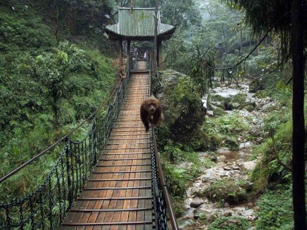 Cycling holiday in Sichuan, China