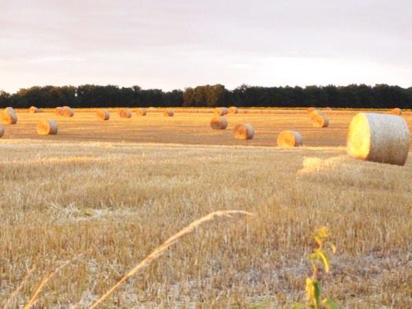 Loire Valley self catering farm cottage, France