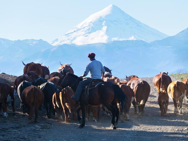 Argentina & Chile holiday, crossing the Andes