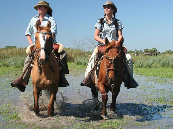 Northern Argentina wildlife and nature holiday