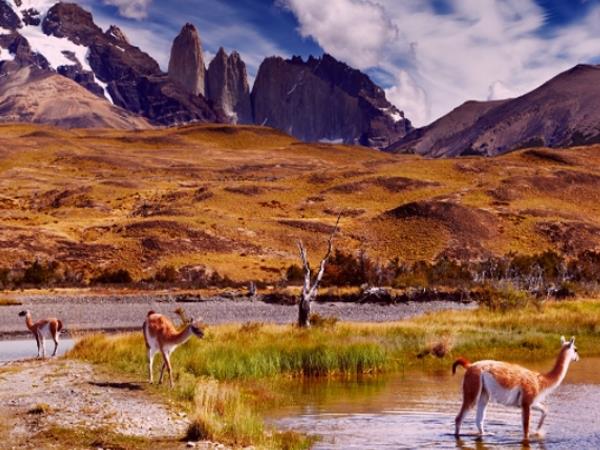 Patagonia 11 day tour, best of Patagonia
