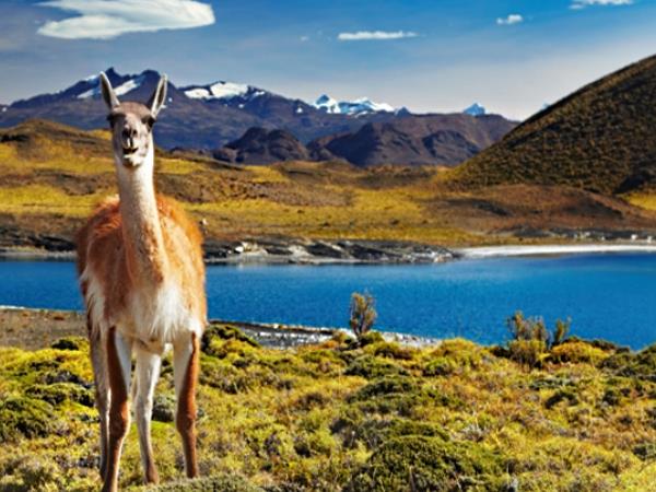Patagonia hiking holiday, glacier tour