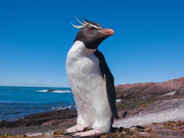 Patagonia tailor made holiday, Argentina and Chile