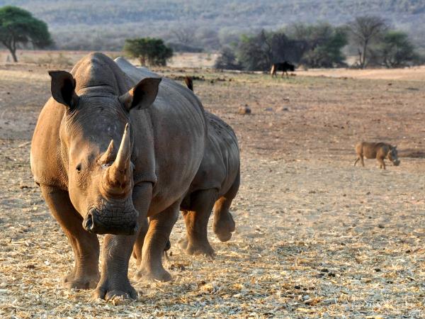 Namibia flying safari