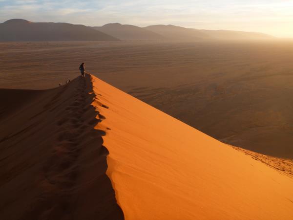 Namibia flying safari