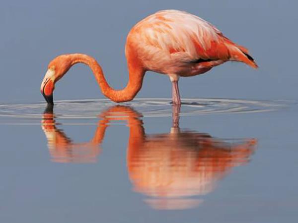 Galapagos cruise holiday