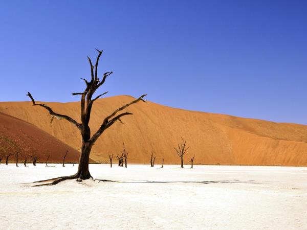 Namibia classic self drive tour