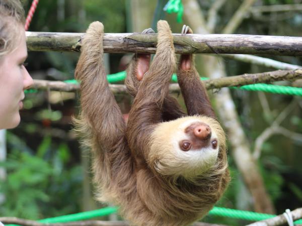 Costa Rica wildlife conservation