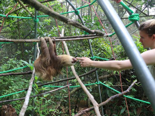 Costa Rica wildlife conservation
